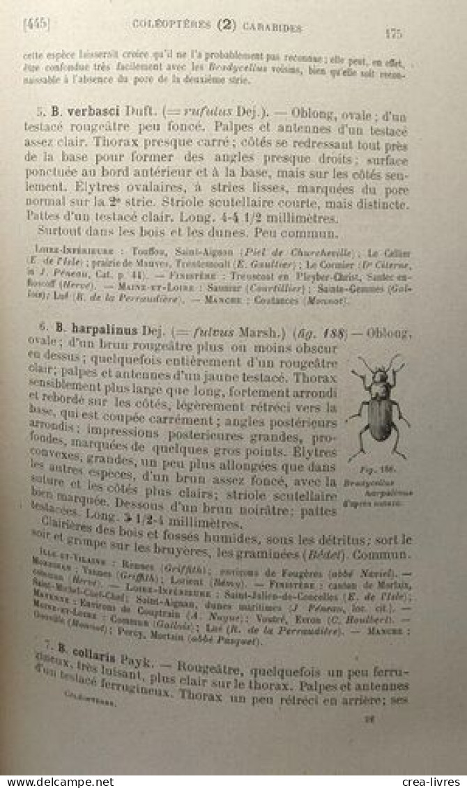 Faune Entomologique Aromircaine - TOME I 3e Partie - Unclassified