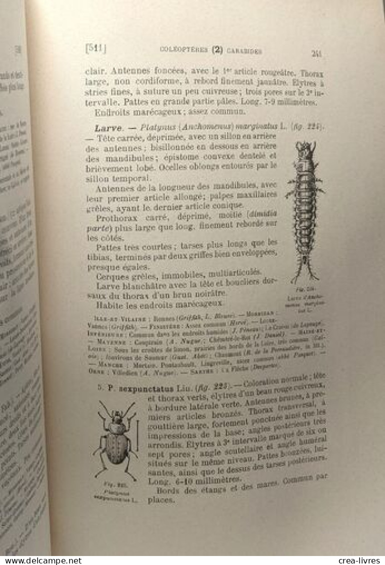 Faune Entomologique Aromircaine - TOME I 3e Partie - Unclassified