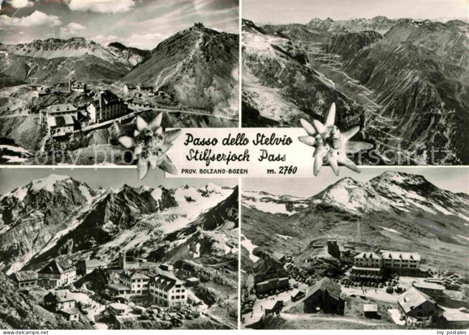 72797306 Stilfserjoch Passo Dello Stelvio Pass Strasse Panorama   - Other & Unclassified