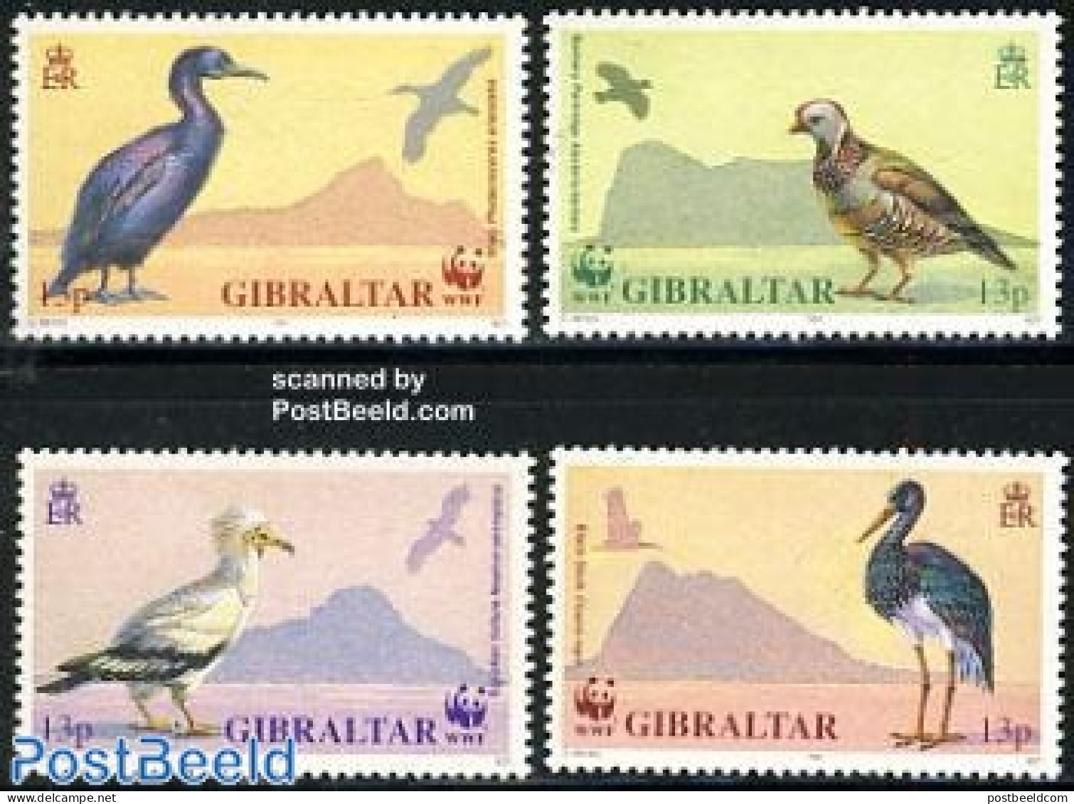 Gibraltar 1991 WWF 4v, Mint NH, Nature - Birds - World Wildlife Fund (WWF) - Gibraltar