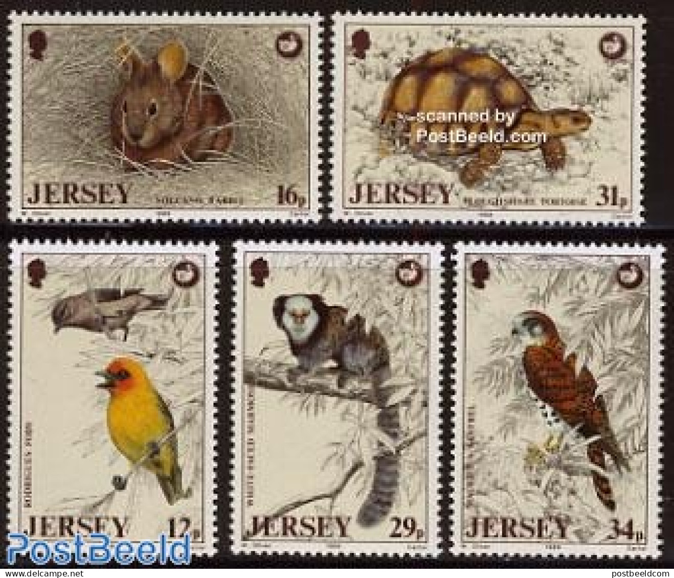 Jersey 1988 Animal Protection 5v, Mint NH, Nature - Animals (others & Mixed) - Birds - Rabbits / Hares - Reptiles - Tu.. - Jersey