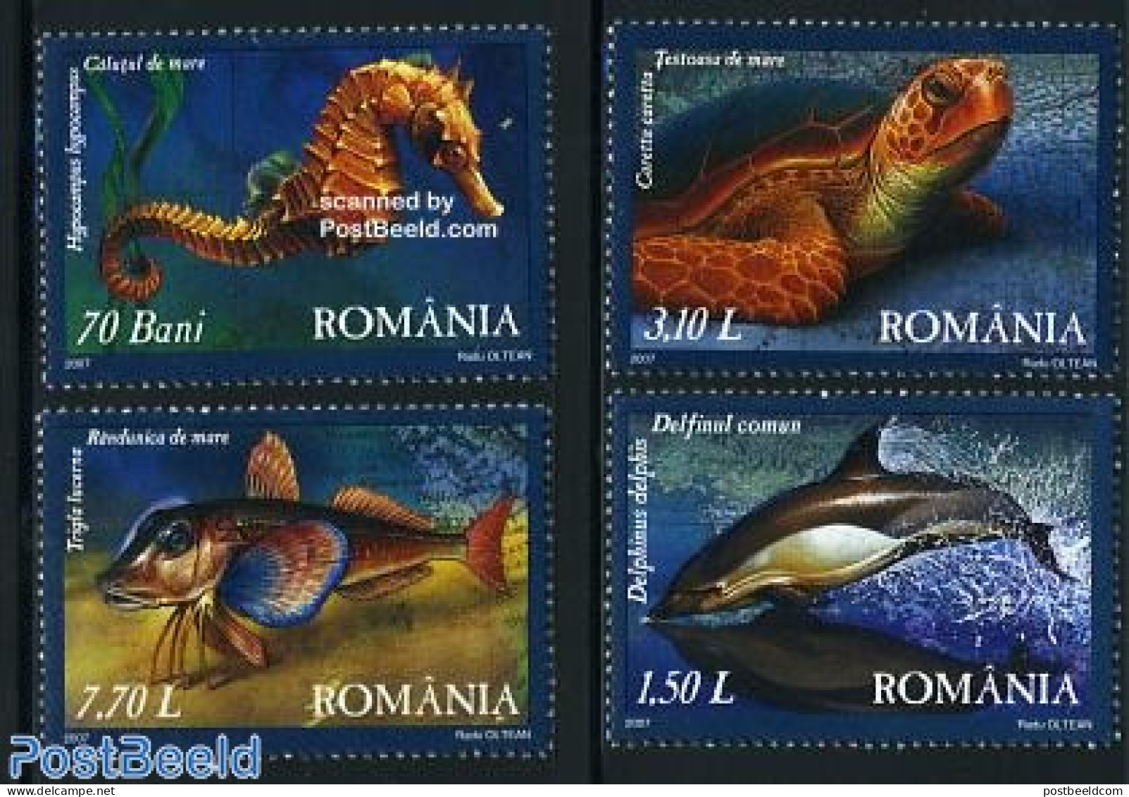 Romania 2007 Black Sea Fauna 4v, Mint NH, Nature - Animals (others & Mixed) - Fish - Reptiles - Sea Mammals - Turtles - Neufs