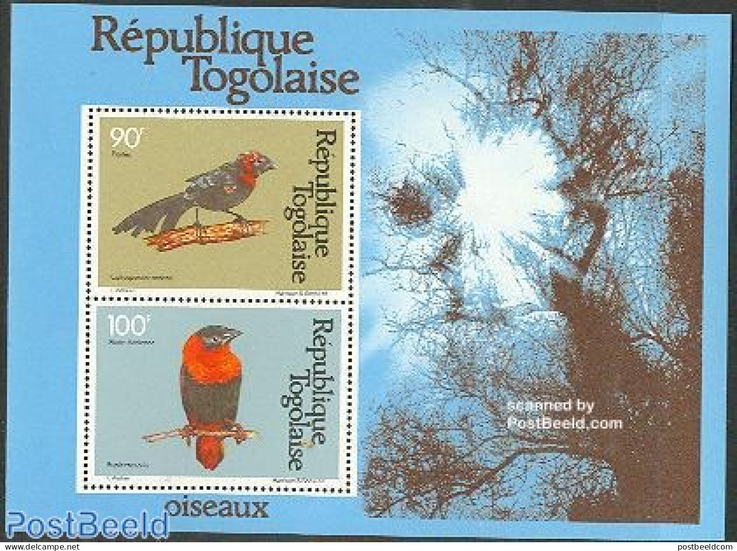 Togo 1981 Birds S/s, Mint NH, Nature - Birds - Togo (1960-...)