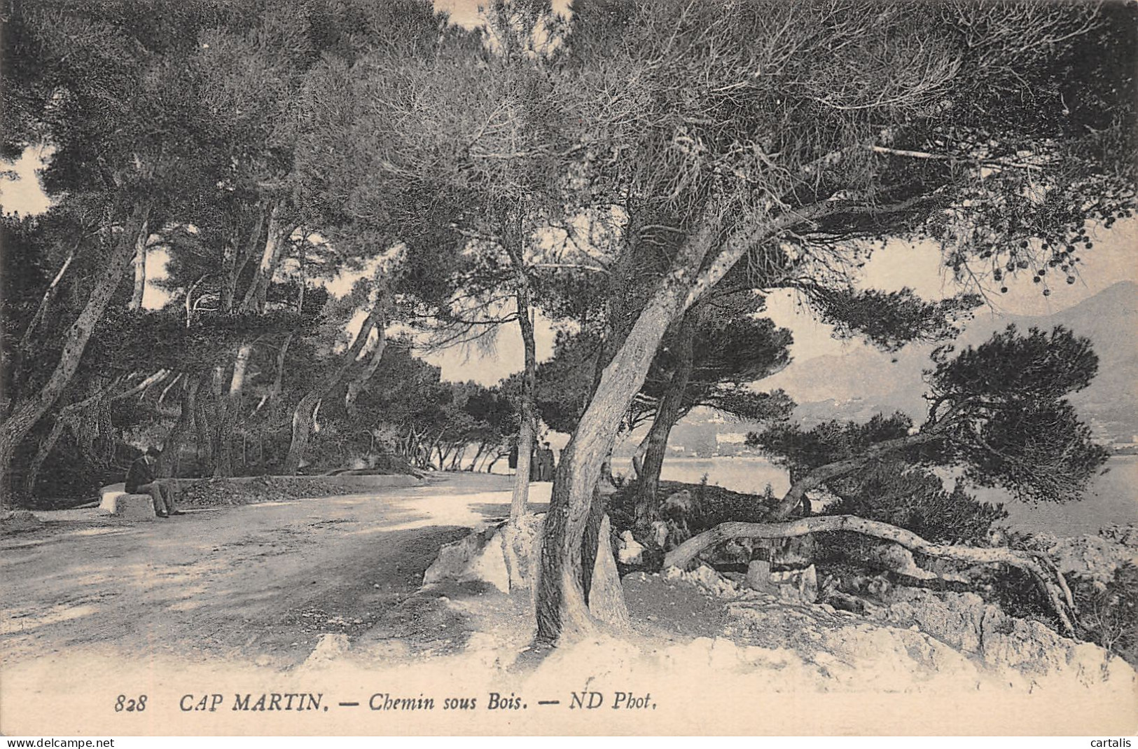 06-CAP MARTIN-N°4176-F/0143 - Other & Unclassified