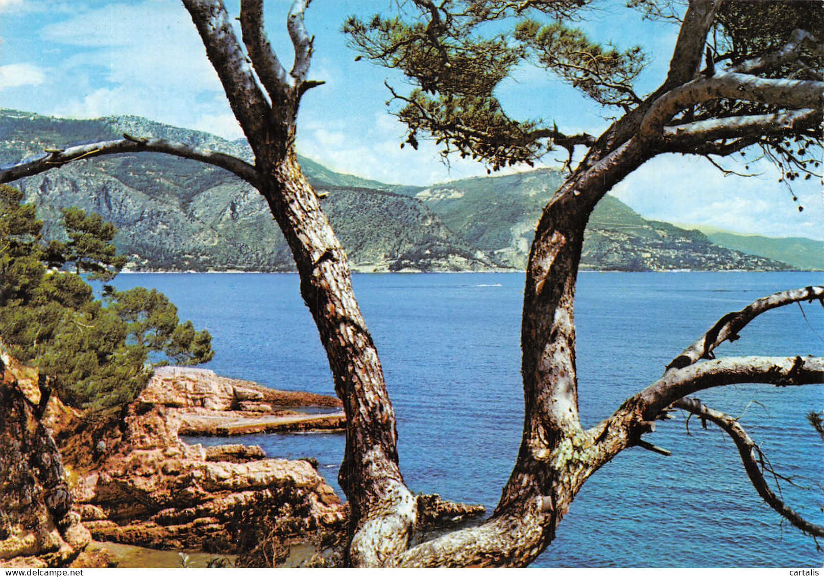 06-CAP FERRAT-N°4177-C/0017 - Other & Unclassified