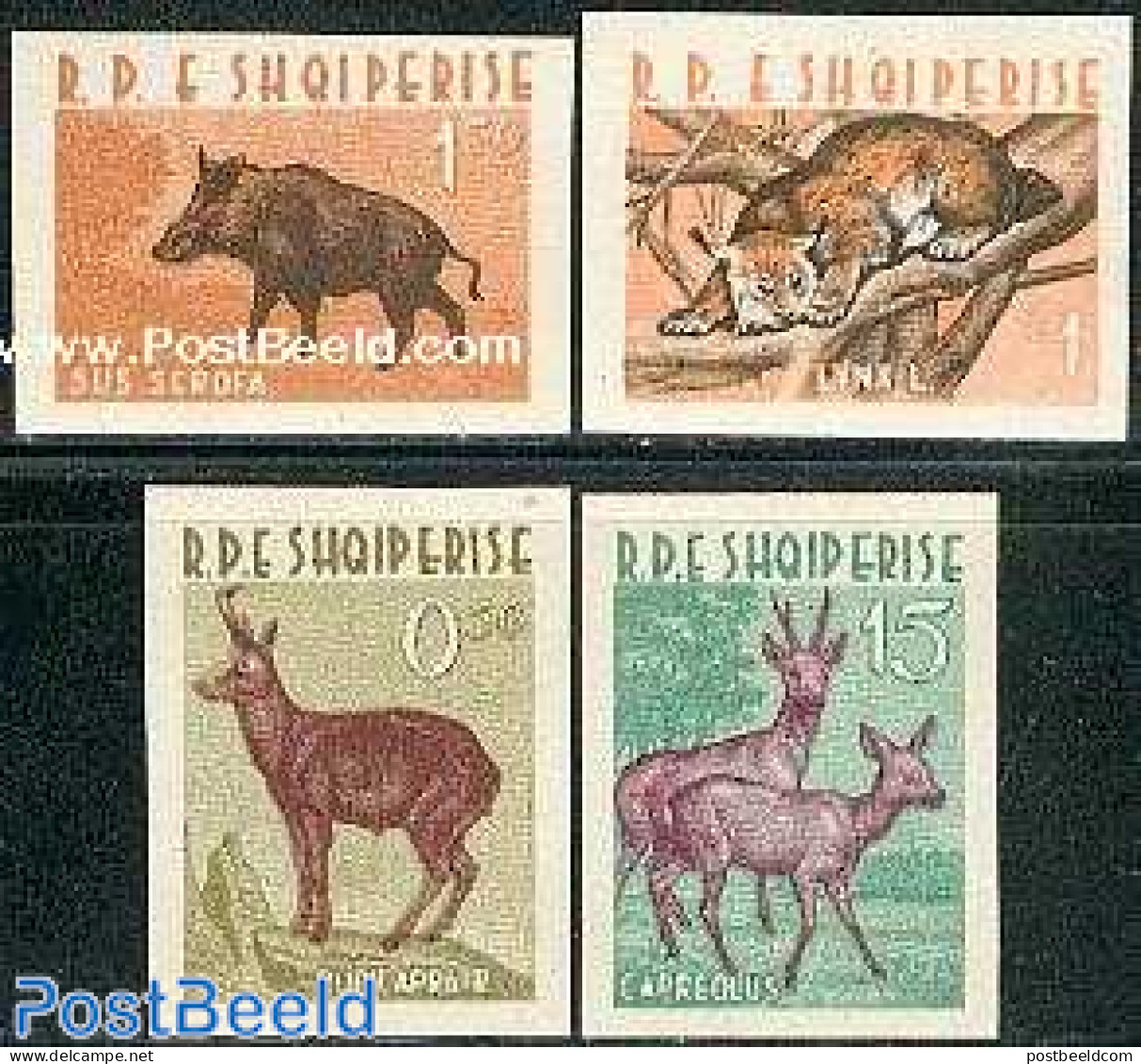 Albania 1962 Animals 4v Imperforated, Unused (hinged), Nature - Animals (others & Mixed) - Cat Family - Deer - Albania