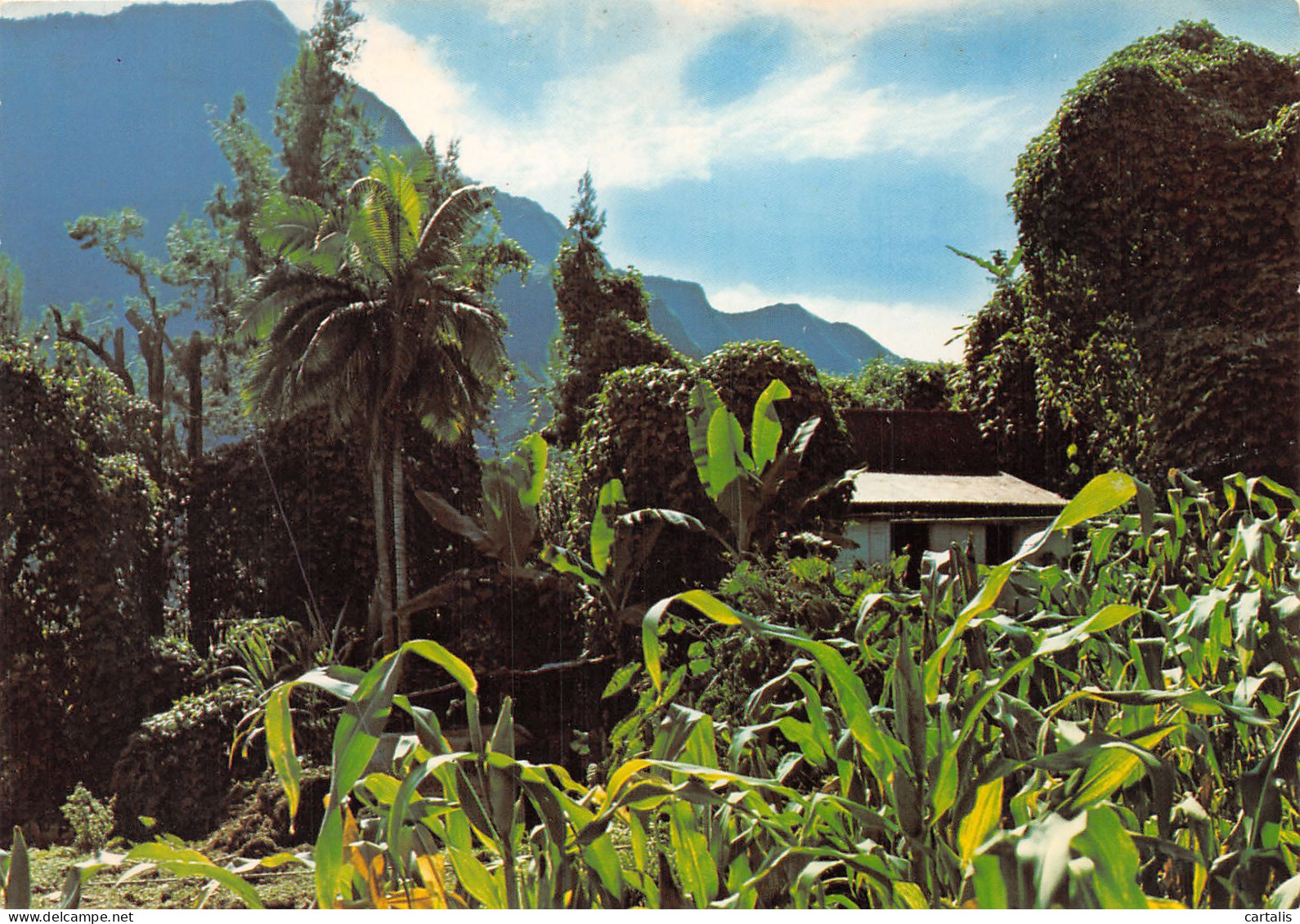 974-LA REUNION ROUTE DU GRAND ILET-N°4177-B/0271 - Andere & Zonder Classificatie