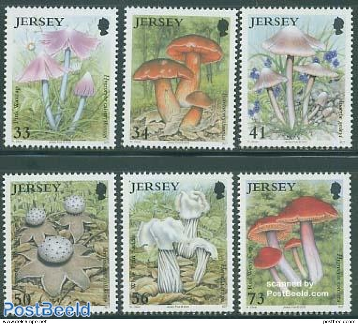 Jersey 2005 Mushrooms 6v, Mint NH, Nature - Mushrooms - Pilze
