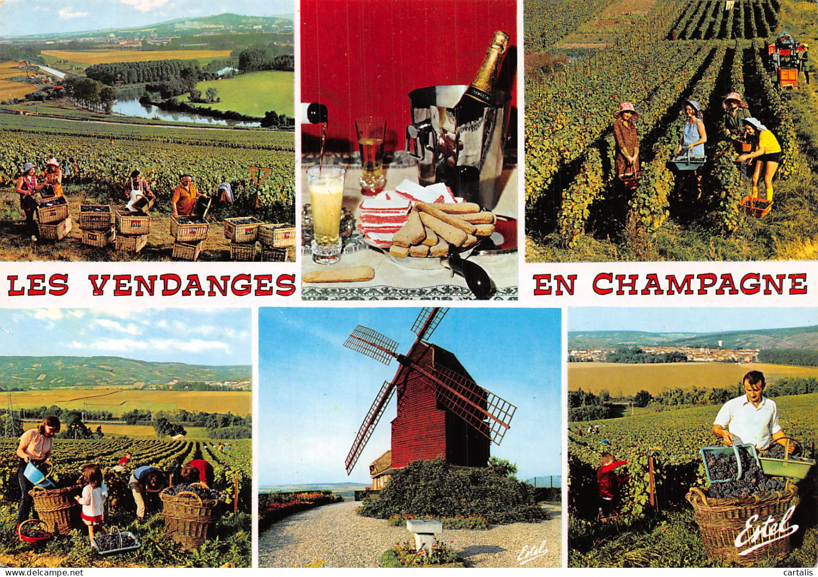 51-LA CHAMPAGNE VENDANGES-N°4177-A/0369 - Andere & Zonder Classificatie