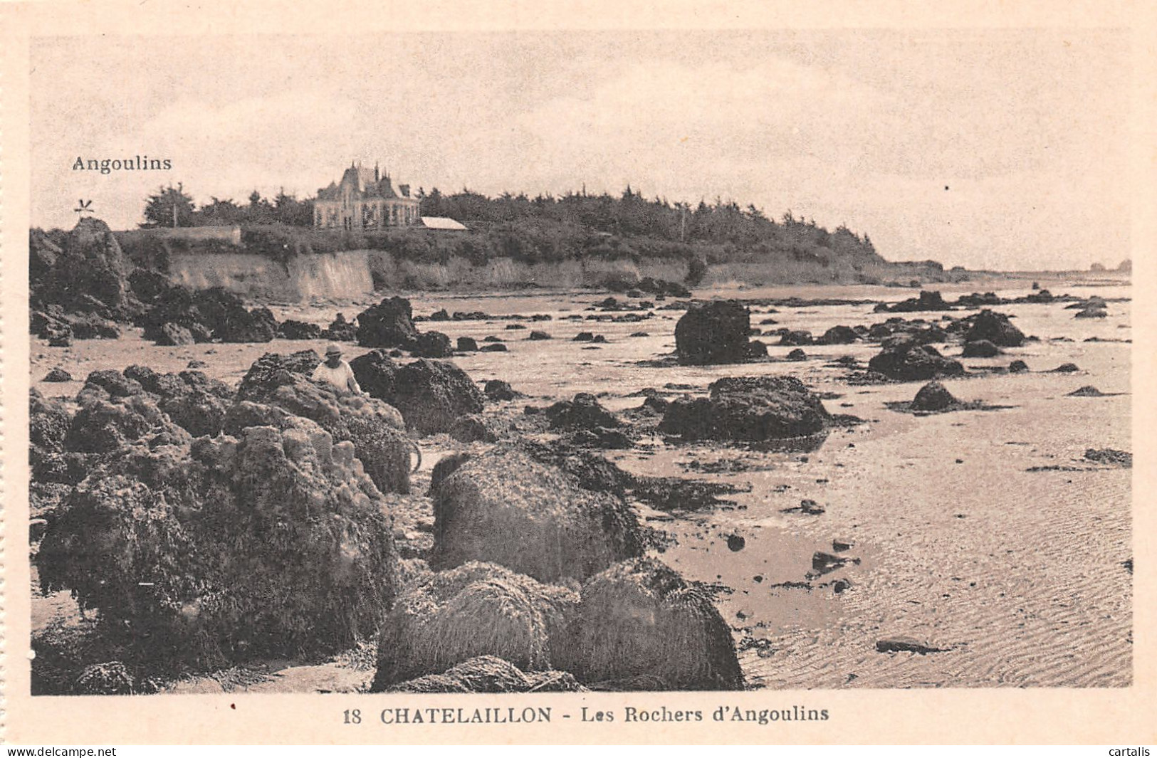 17-CHATELAILLON-N°4176-H/0305 - Châtelaillon-Plage