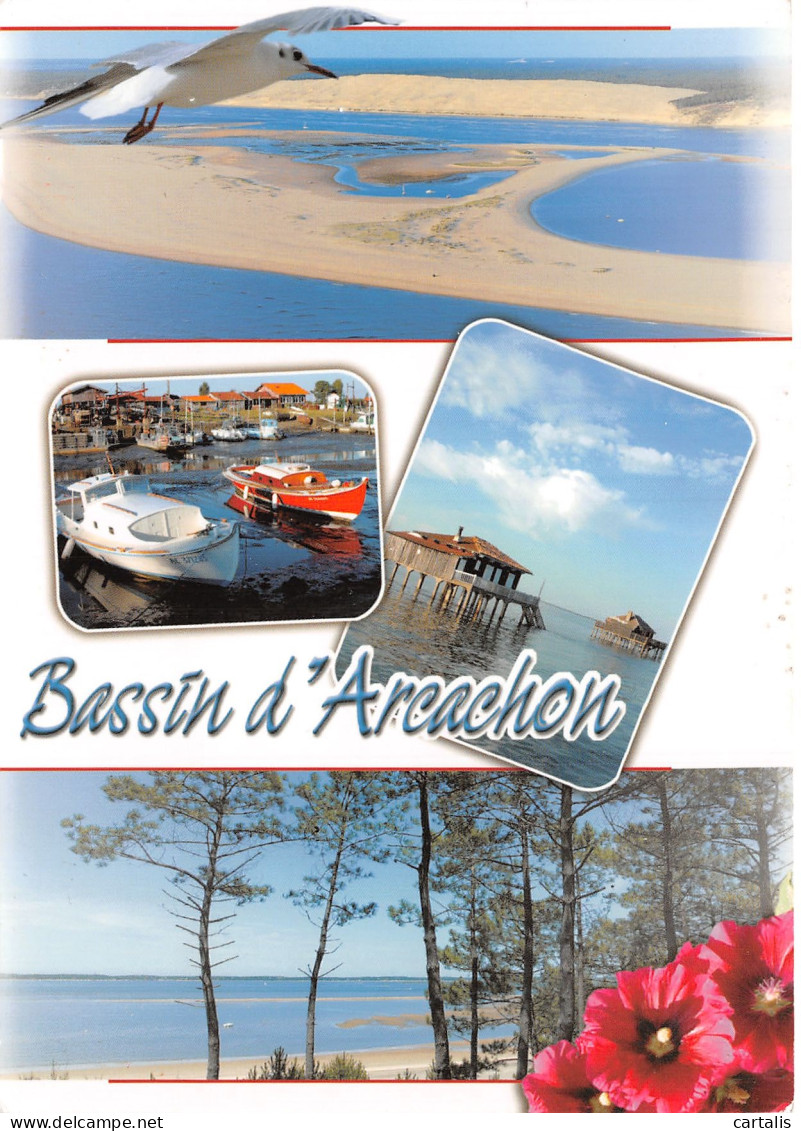 33-LE BASSIN D ARCACHON-N°4178-A/0085 - Otros & Sin Clasificación