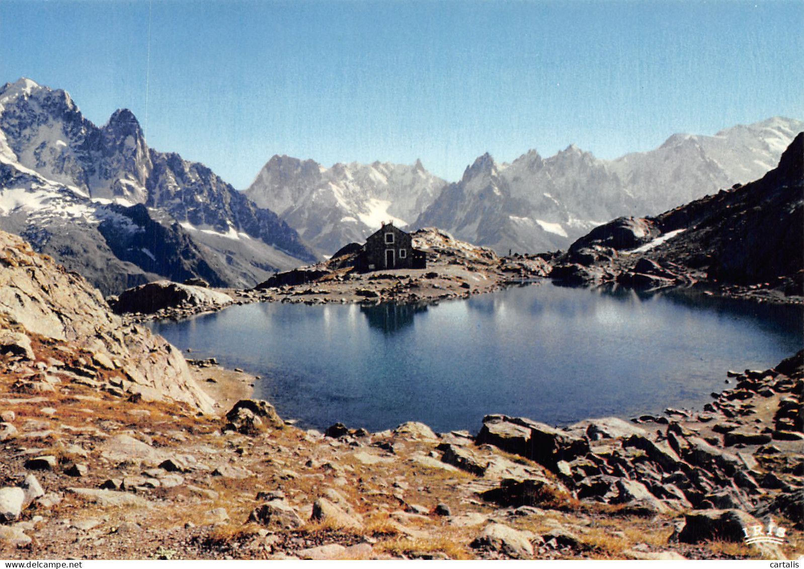 74-LE MONT BLANC LES AIGUILLES DU MIDI-N°4178-A/0045 - Andere & Zonder Classificatie