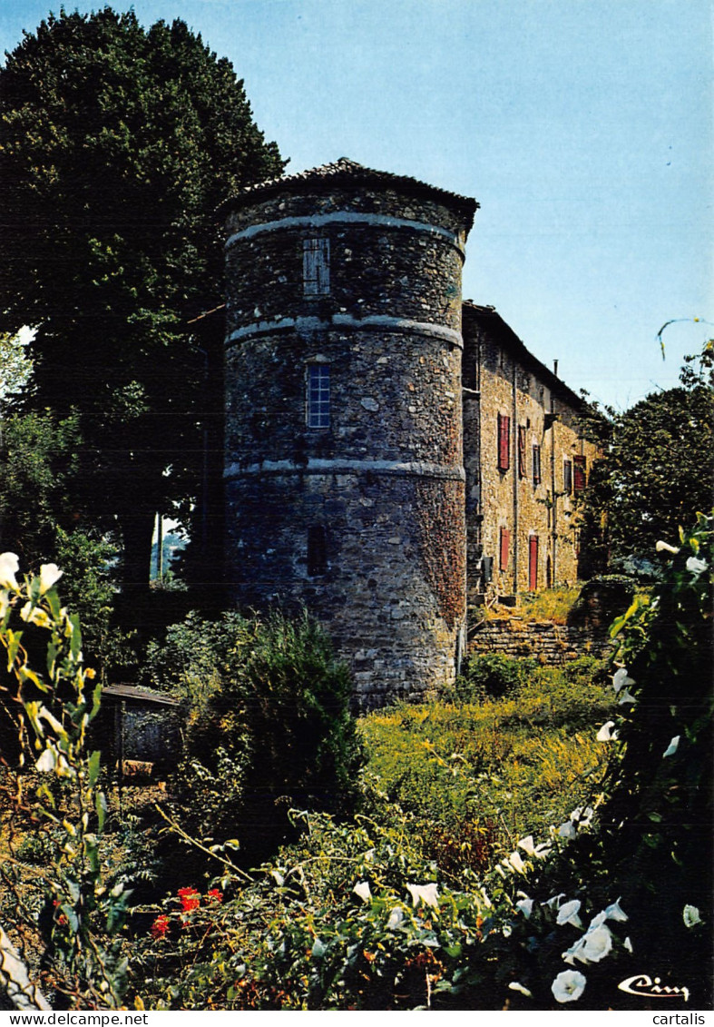 64-ESPELETTE LE CHATEAU-N°4178-A/0003 - Autres & Non Classés