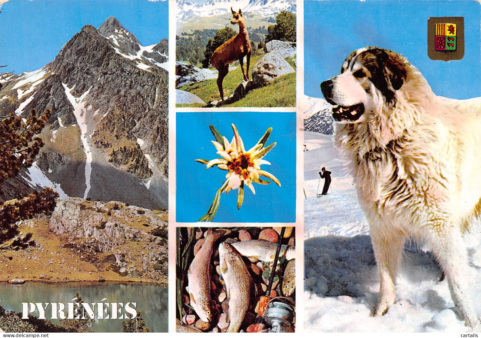 65-LES PYRENEES-N°4177-D/0361 - Andere & Zonder Classificatie