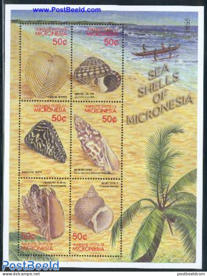 Micronesia 2001 Shells 6v M/s,, Mint NH, Nature - Shells & Crustaceans - Maritiem Leven