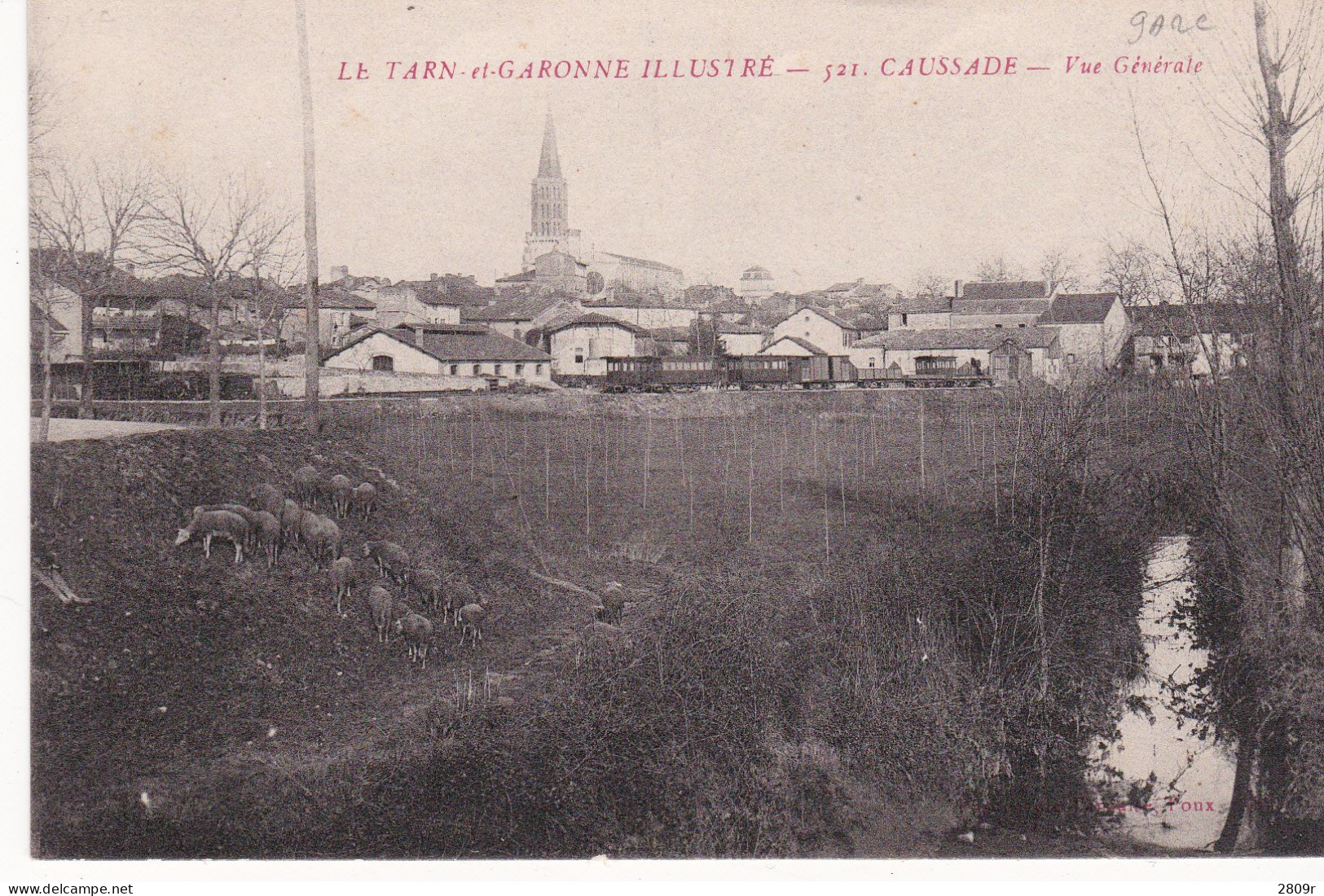 LOT 10 Cartes  Tarn Et Garonne - Other & Unclassified