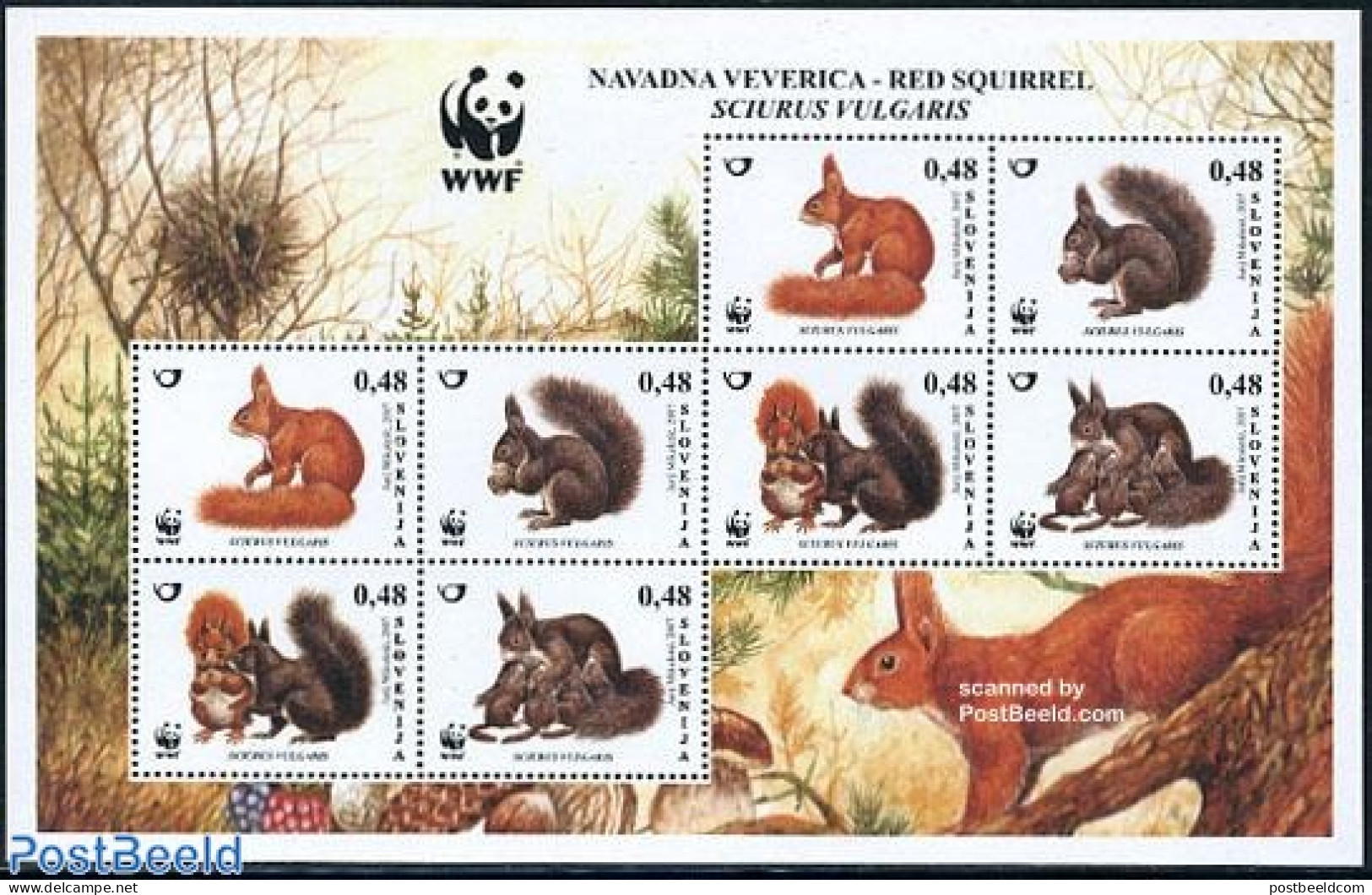 Slovenia 2007 WWF, Squirrel 2x4v M/s, Mint NH, Nature - Animals (others & Mixed) - World Wildlife Fund (WWF) - Slovenia