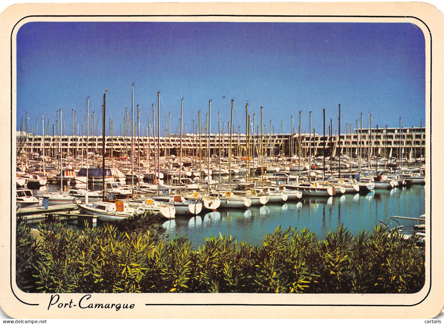 30-PORT CAMARGUE-N°4177-C/0167 - Autres & Non Classés