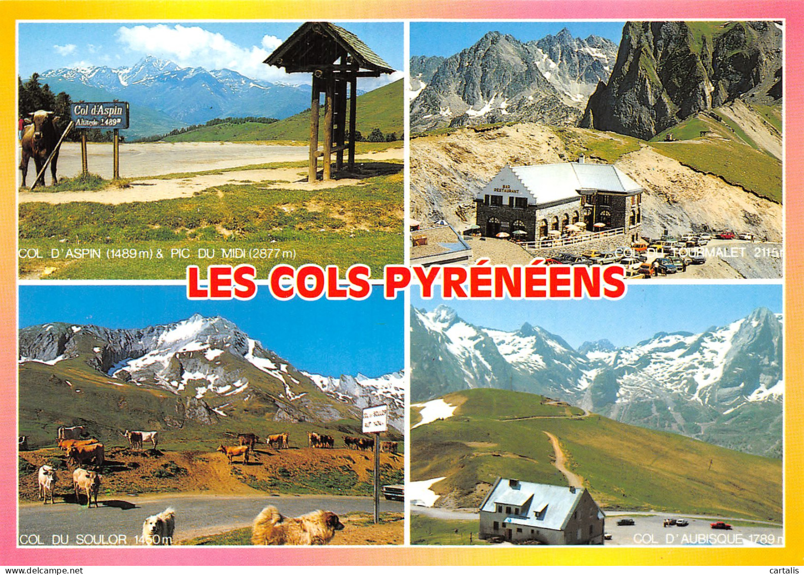 65-LES COLS PYRENEES-N°4178-D/0055 - Altri & Non Classificati