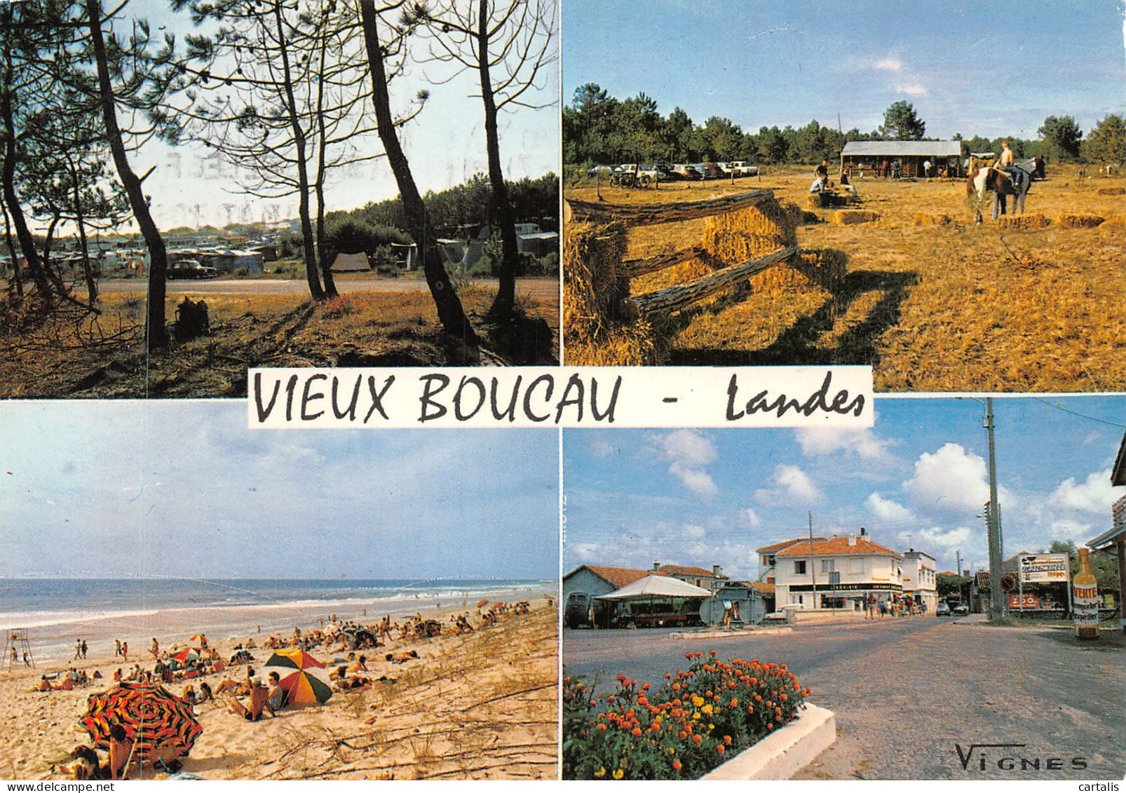 40-VIEUX BOUCAU-N°4178-C/0113 - Vieux Boucau