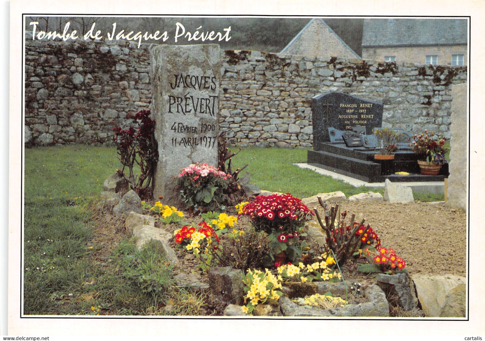 50-OMONVILLE LA ROGUE-N°4178-B/0371 - Autres & Non Classés