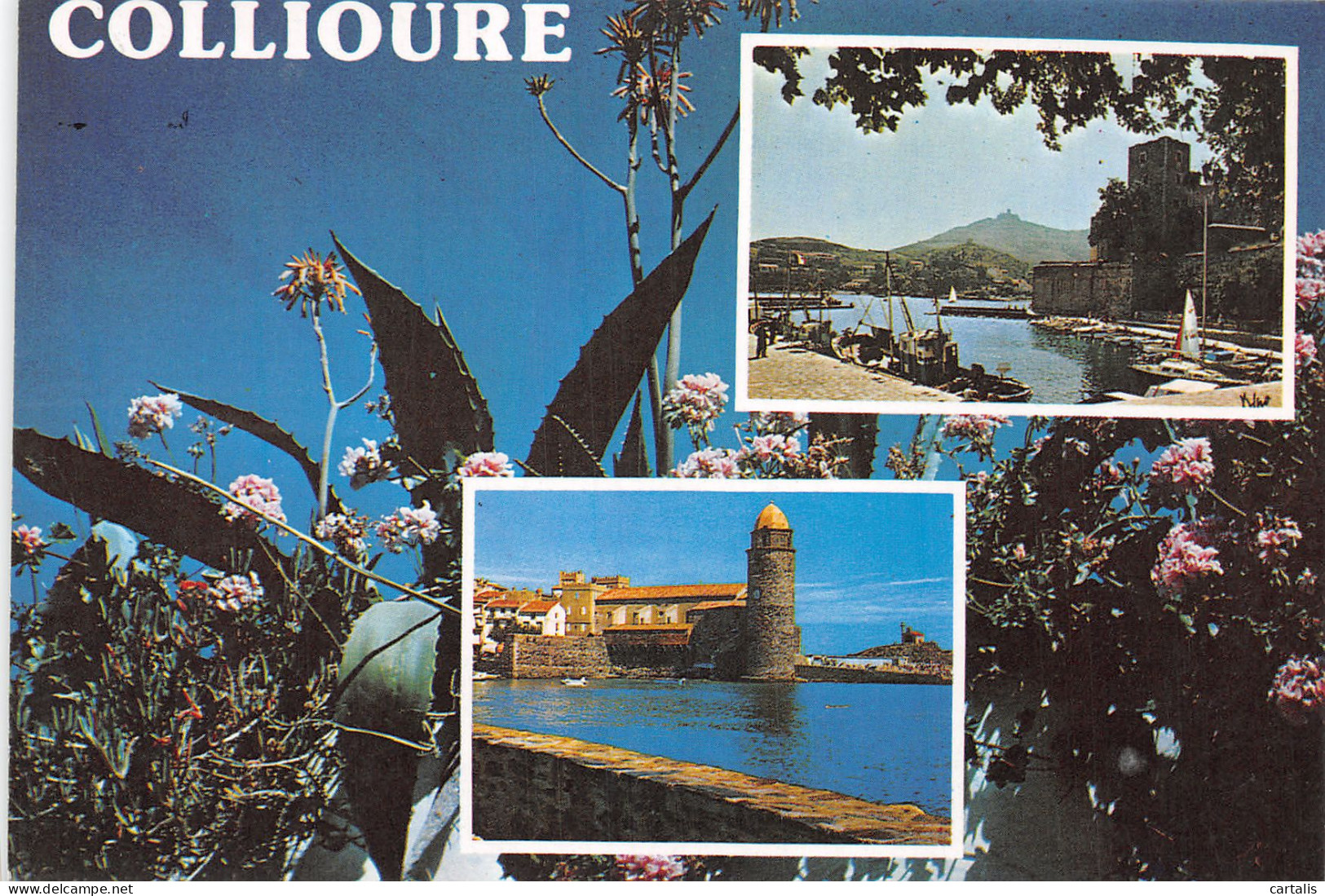 66-COLLIOURE-N°4178-B/0213 - Collioure