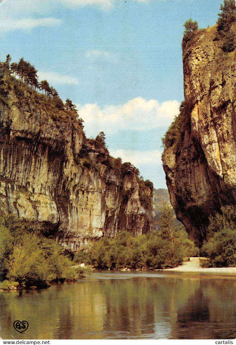 48-LES GORGES DU TARN DETROITS-N°4178-B/0117 - Sonstige & Ohne Zuordnung