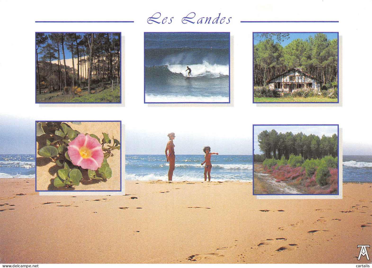 40-LES LANDES-N°4178-B/0041 - Other & Unclassified