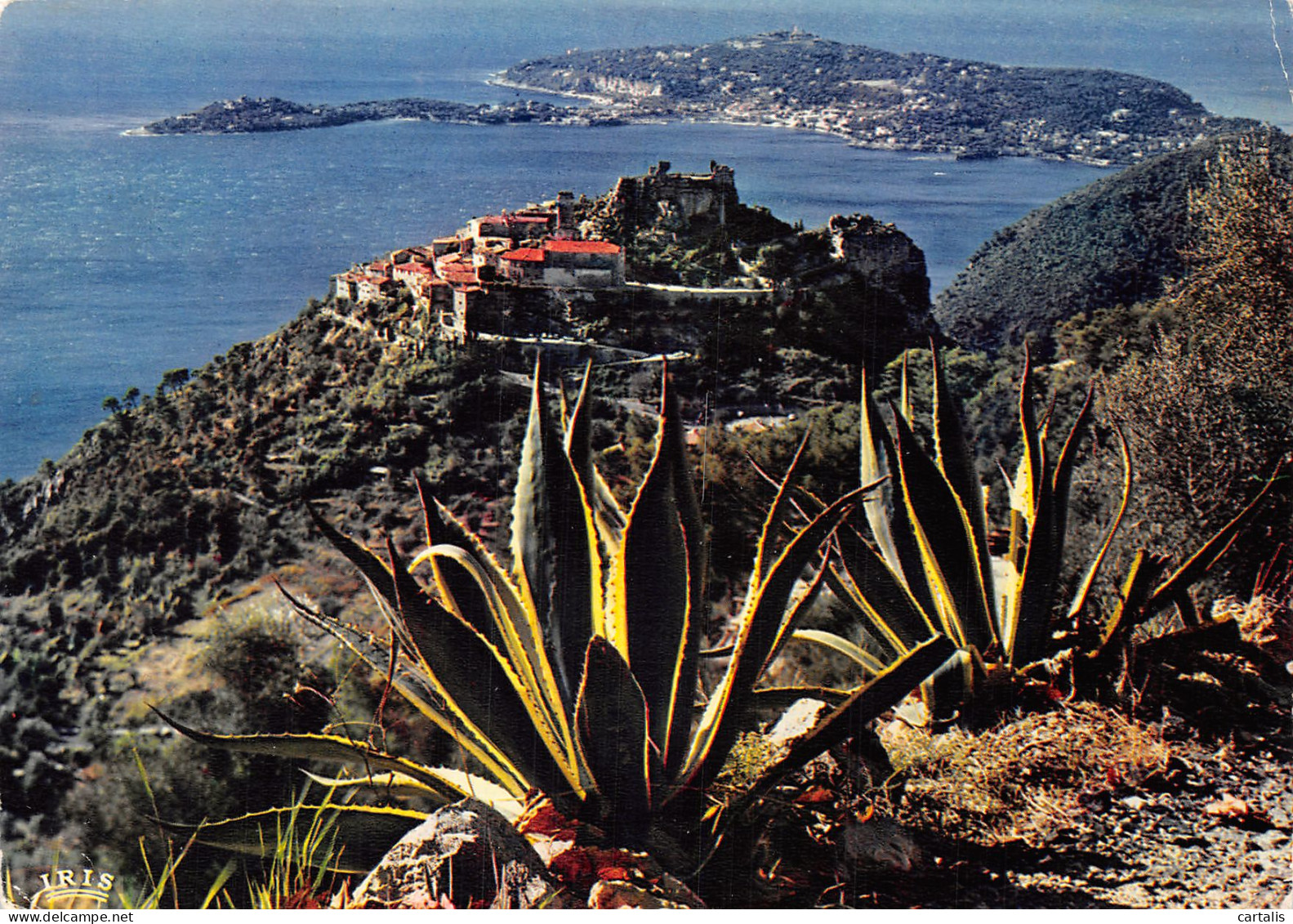 06-EZE CAP FERRAT-N°4178-A/0313 - Eze