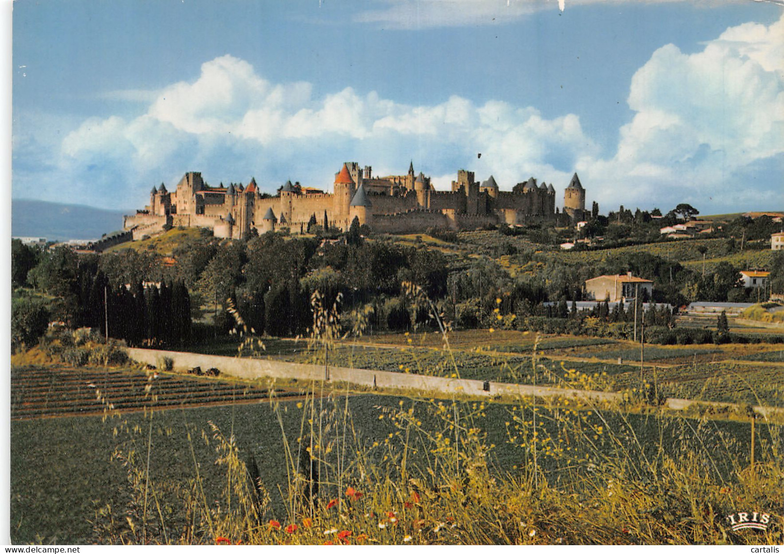 11-CARCASSONNE-N°4179-A/0195 - Carcassonne