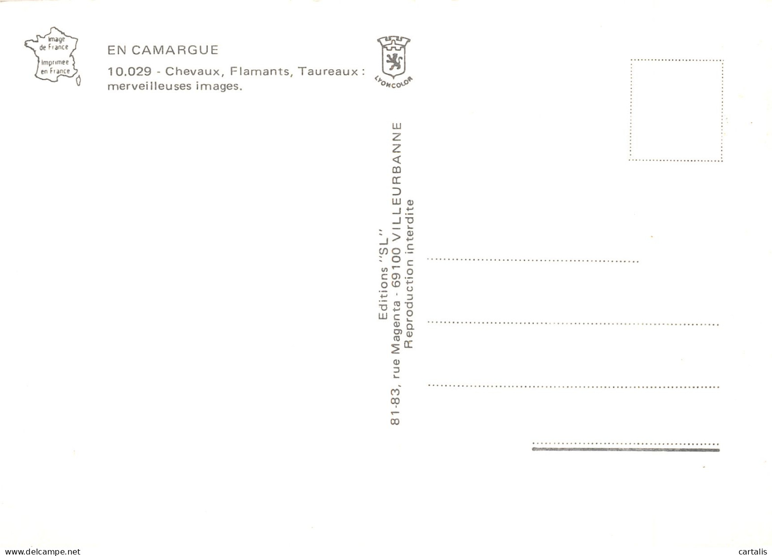 13-CAMARGUE-N°4179-A/0177 - Andere & Zonder Classificatie