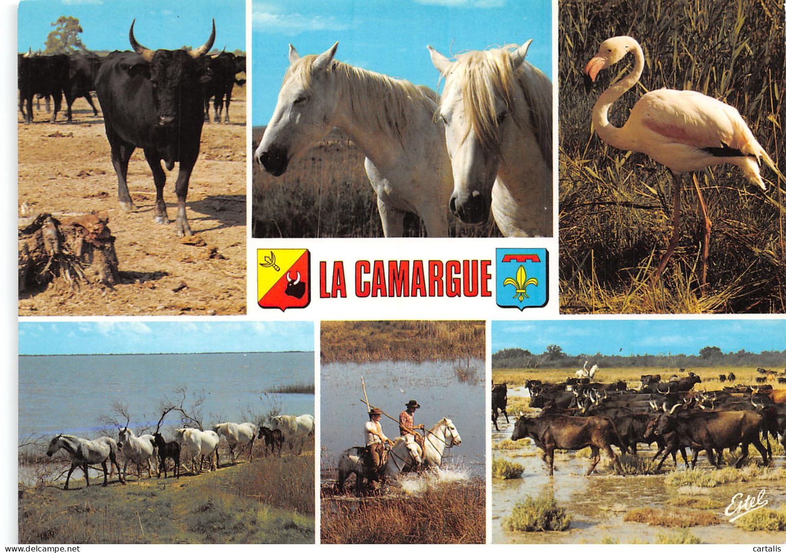 13-CAMARGUE-N°4179-A/0181 - Sonstige & Ohne Zuordnung