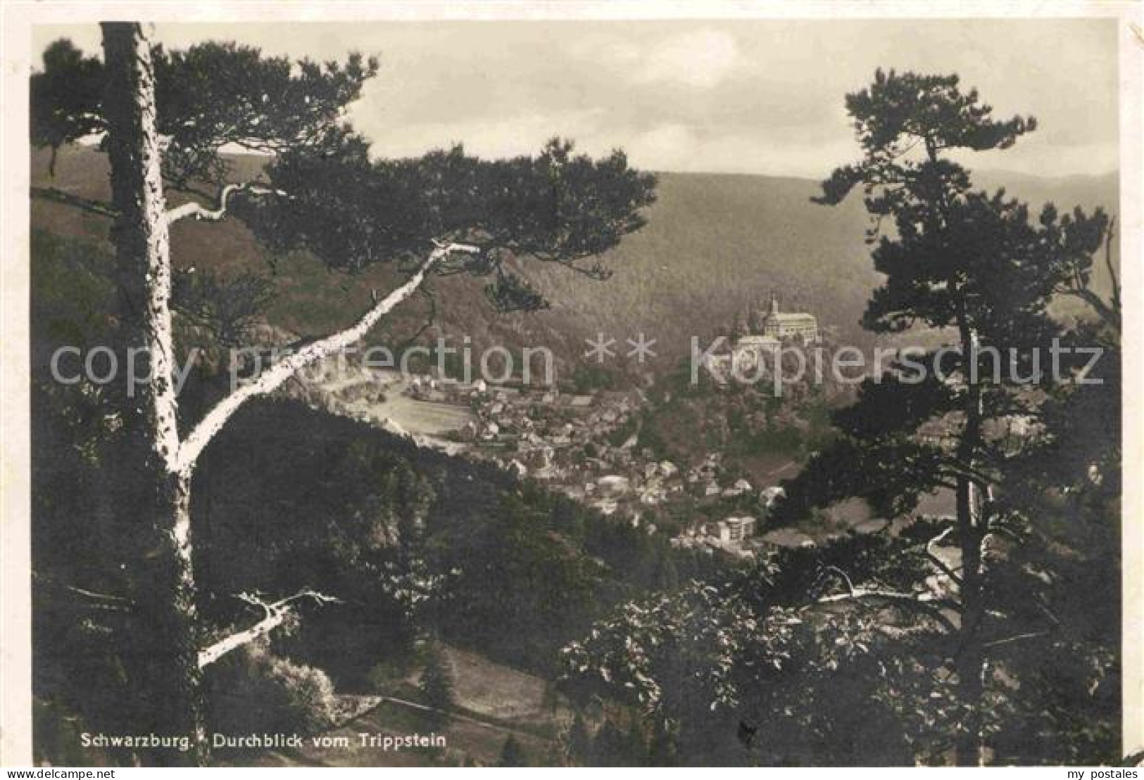 72796038 Schwarzburg Thueringer Wald Durchblick Vom Trippstein Schwarzburg - Andere & Zonder Classificatie