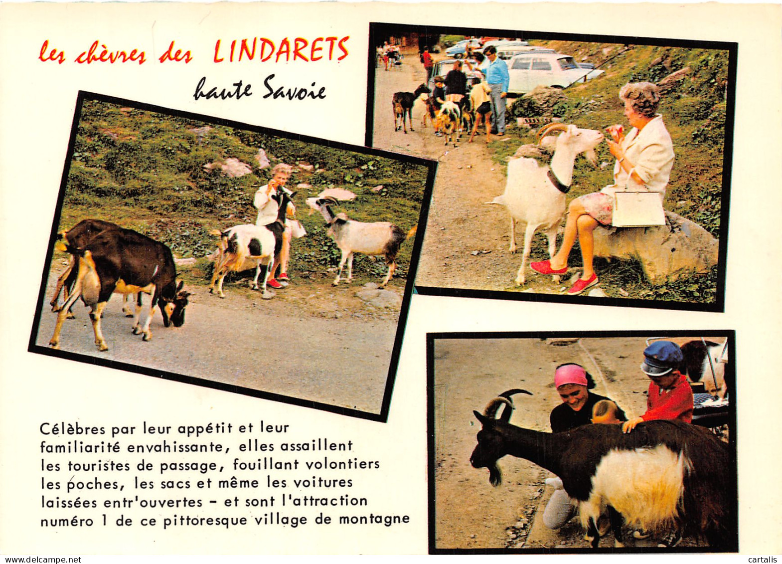 74-LES LINDARETS-N°4178-D/0325 - Other & Unclassified