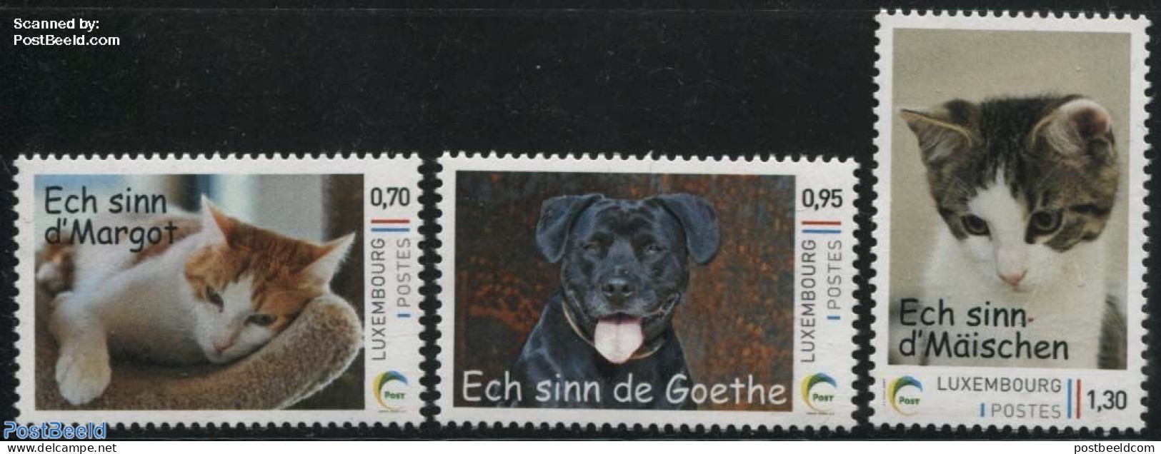 Luxemburg 2016 Personal Stamps 3v S-a, Domestic Animals, Mint NH, Nature - Cats - Dogs - Unused Stamps