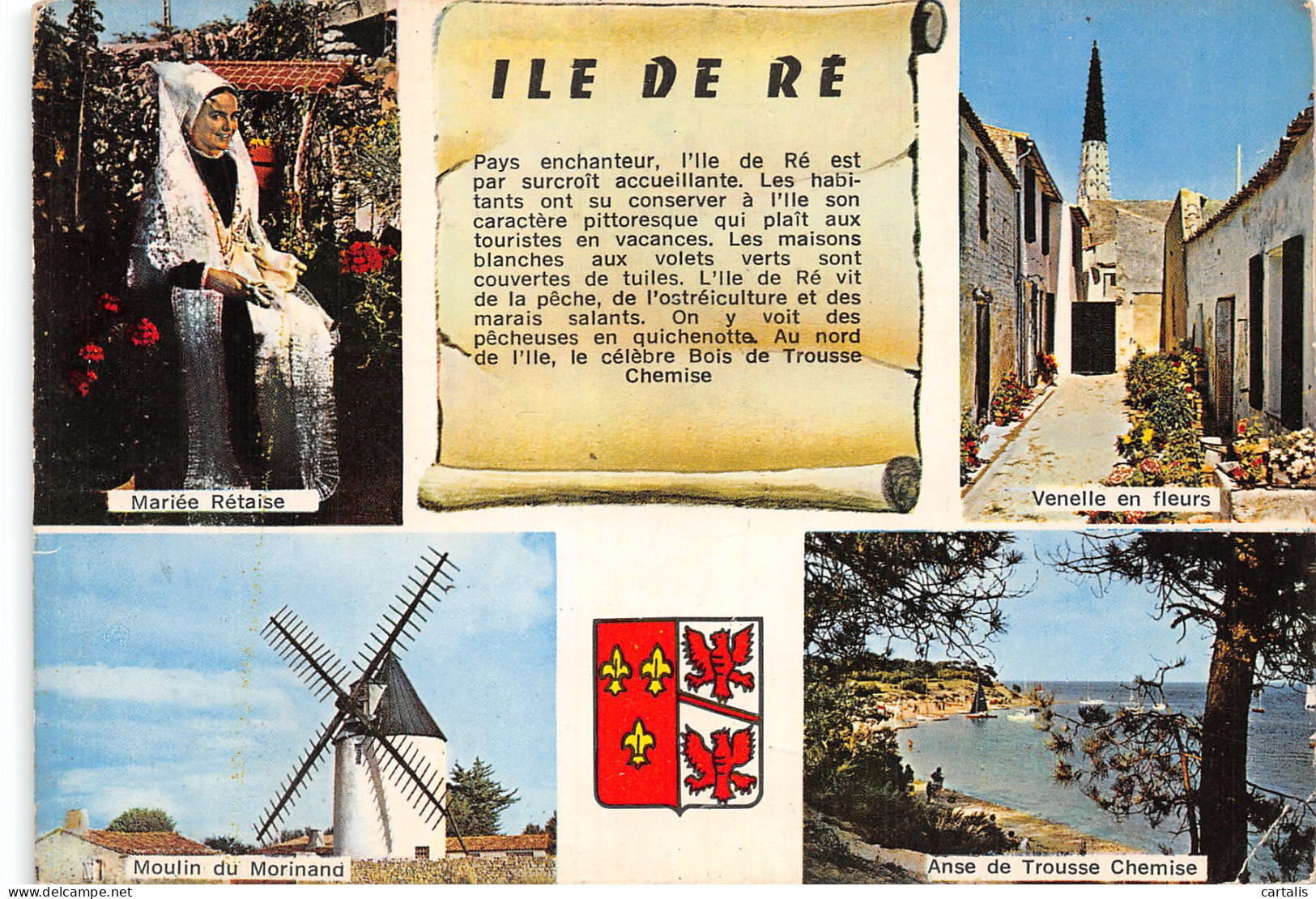 17-ILE DE RE-N°4179-D/0375 - Ile De Ré