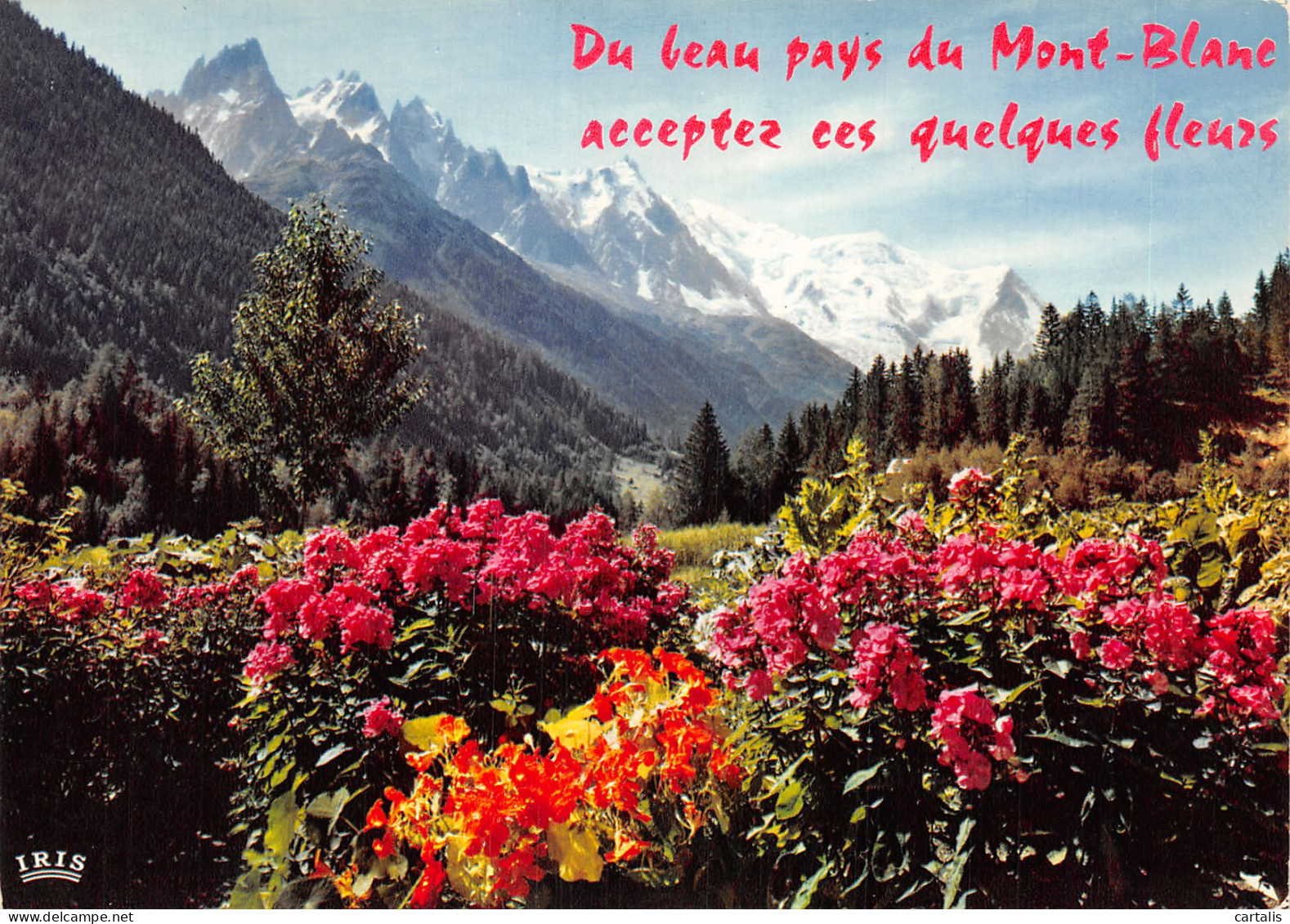 74-LE MONT BLANC-N°4179-D/0249 - Andere & Zonder Classificatie