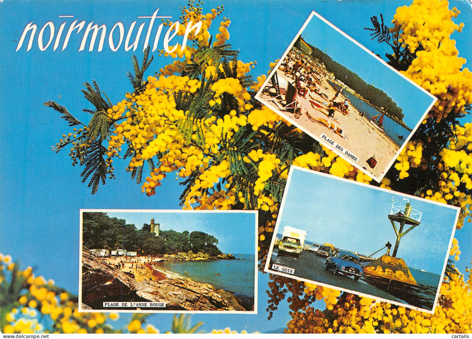 85-NOIRMOUTIER-N°4179-D/0219 - Noirmoutier