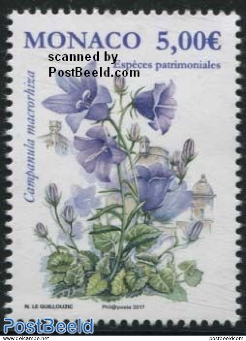 Monaco 2017 Bellflower 1v, Mint NH, Nature - Flowers & Plants - Ungebraucht