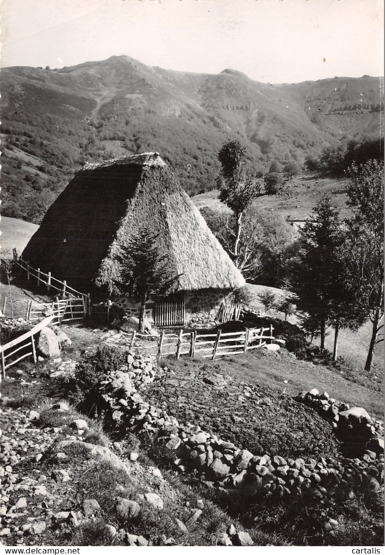 15-LE PLOMB DU CANTAL-N°4179-C/0295 - Sonstige & Ohne Zuordnung