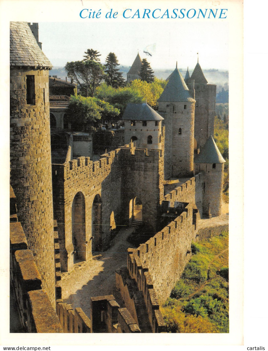 11-CARCASSONNE-N°4179-C/0271 - Carcassonne