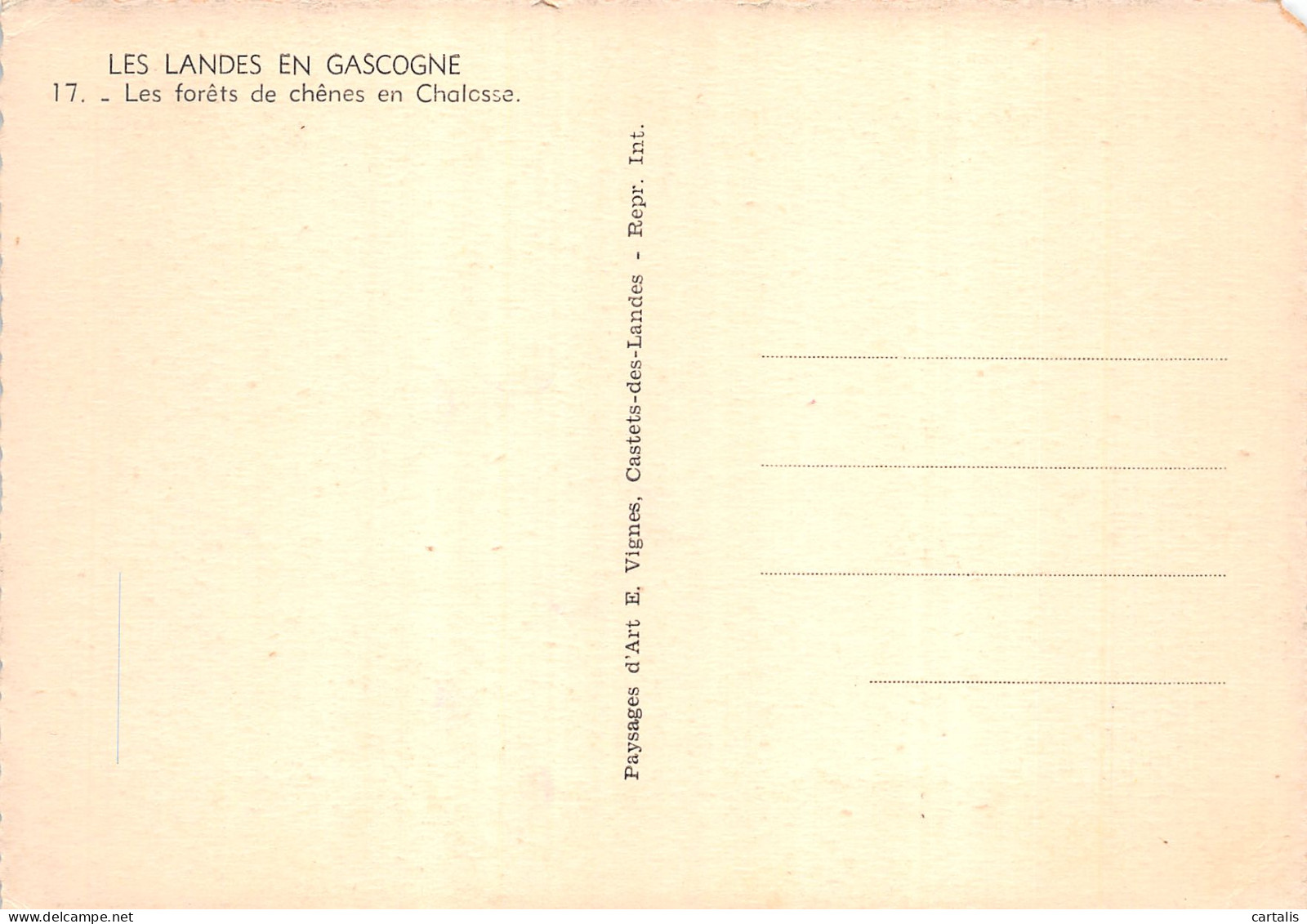 40-LANDES DE GASCOGNE-N°4179-C/0173 - Andere & Zonder Classificatie