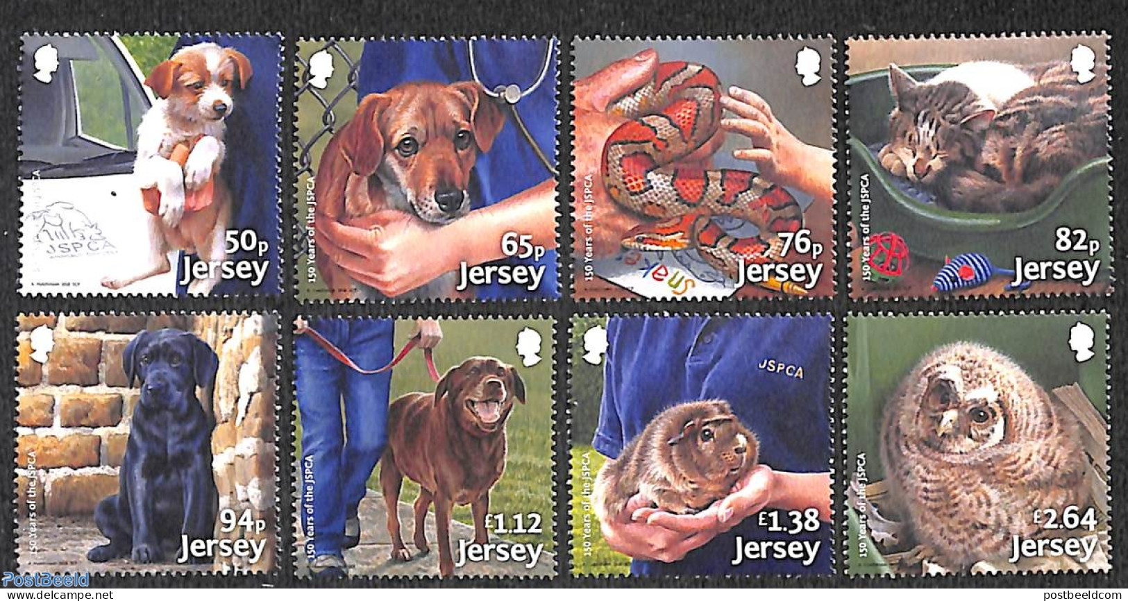 Jersey 2018 150 Years JSPCA 8v, Mint NH, Nature - Animals (others & Mixed) - Birds - Birds Of Prey - Cats - Dogs - Owls - Jersey