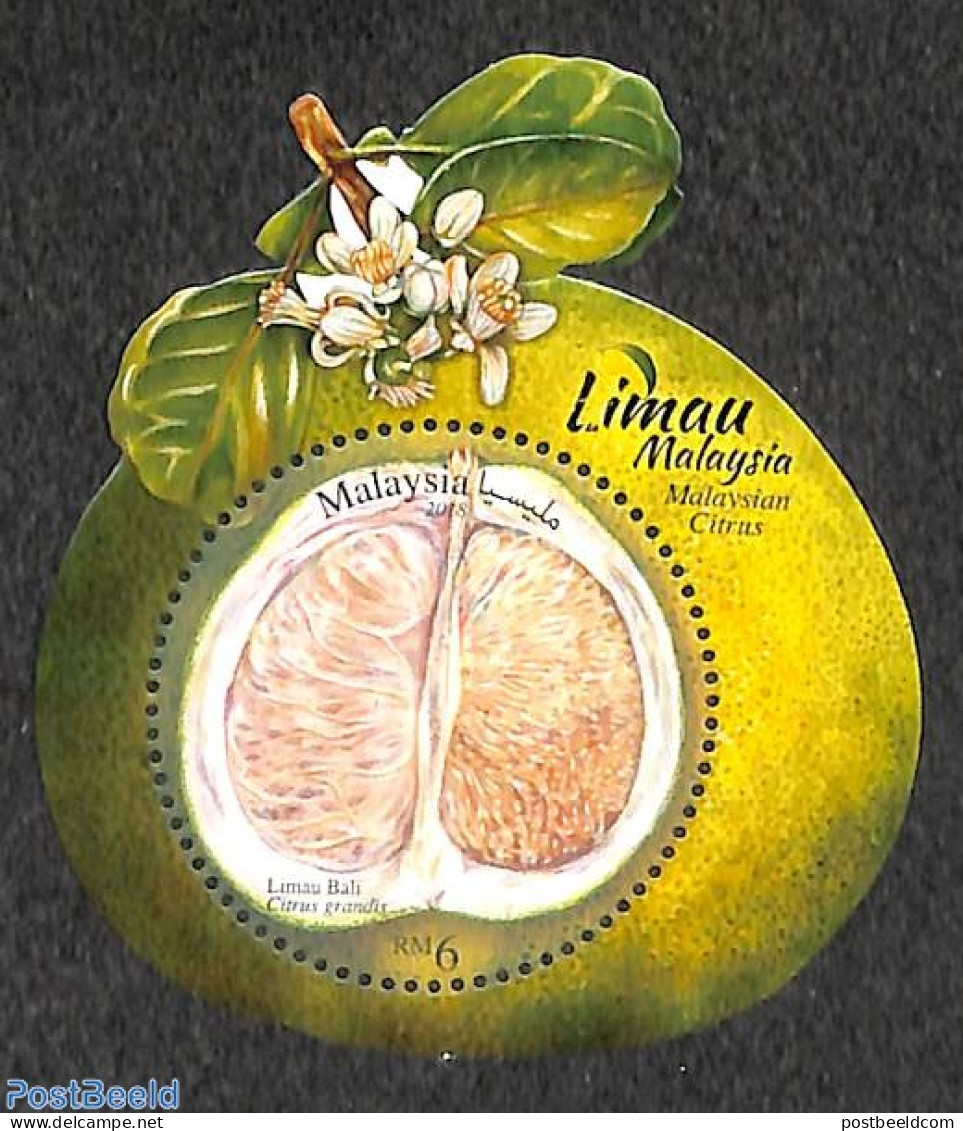 Malaysia 2018 Citrus Fruits S/s, Mint NH, Nature - Fruit - Frutas