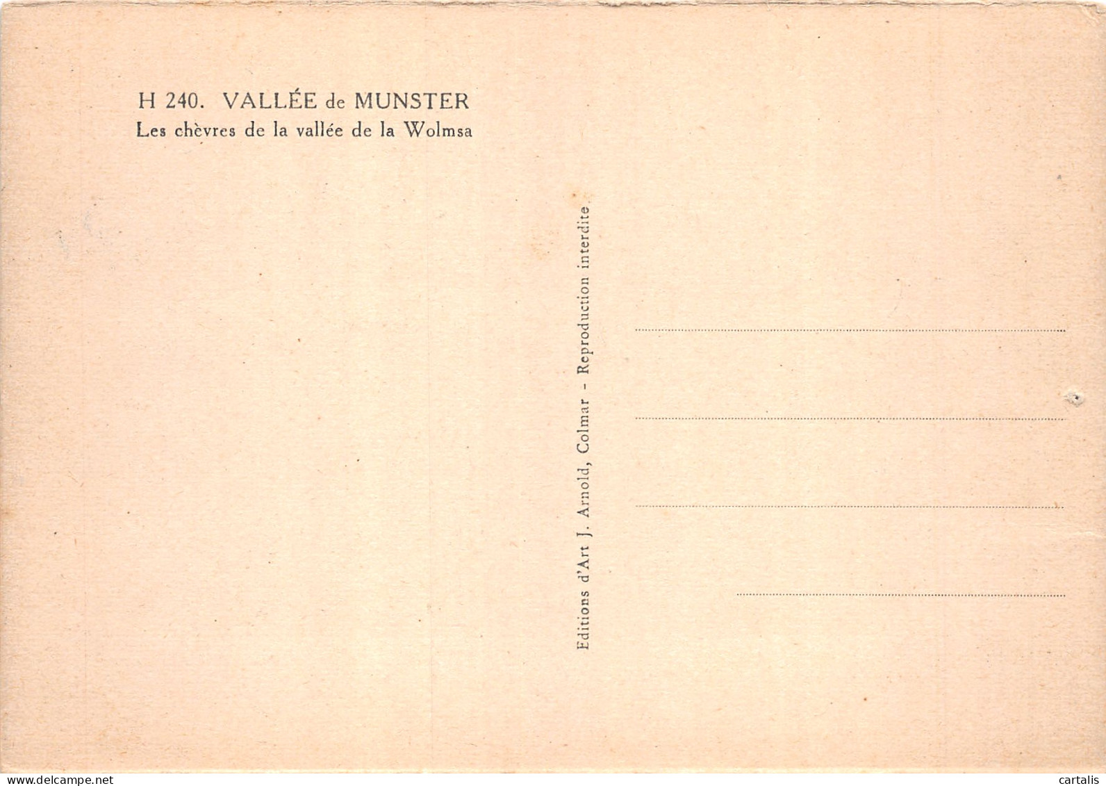 68-VALLEE DE MUNSTER-N°4180-B/0295 - Autres & Non Classés