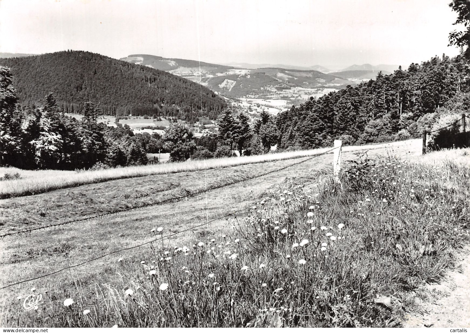 68-LE COL DU BONHOMME LA VALLEE-N°4180-B/0273 - Autres & Non Classés