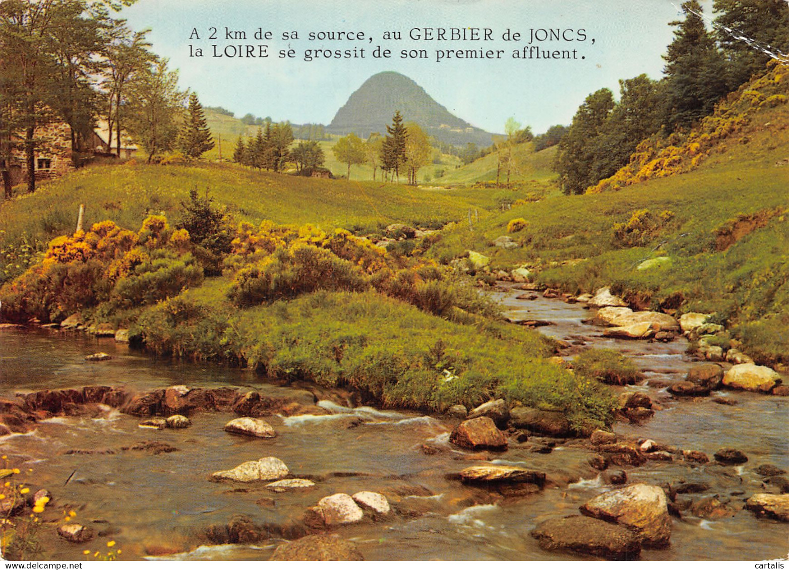 07-LE MONT GERBIER DE JONCS-N°4180-B/0245 - Otros & Sin Clasificación