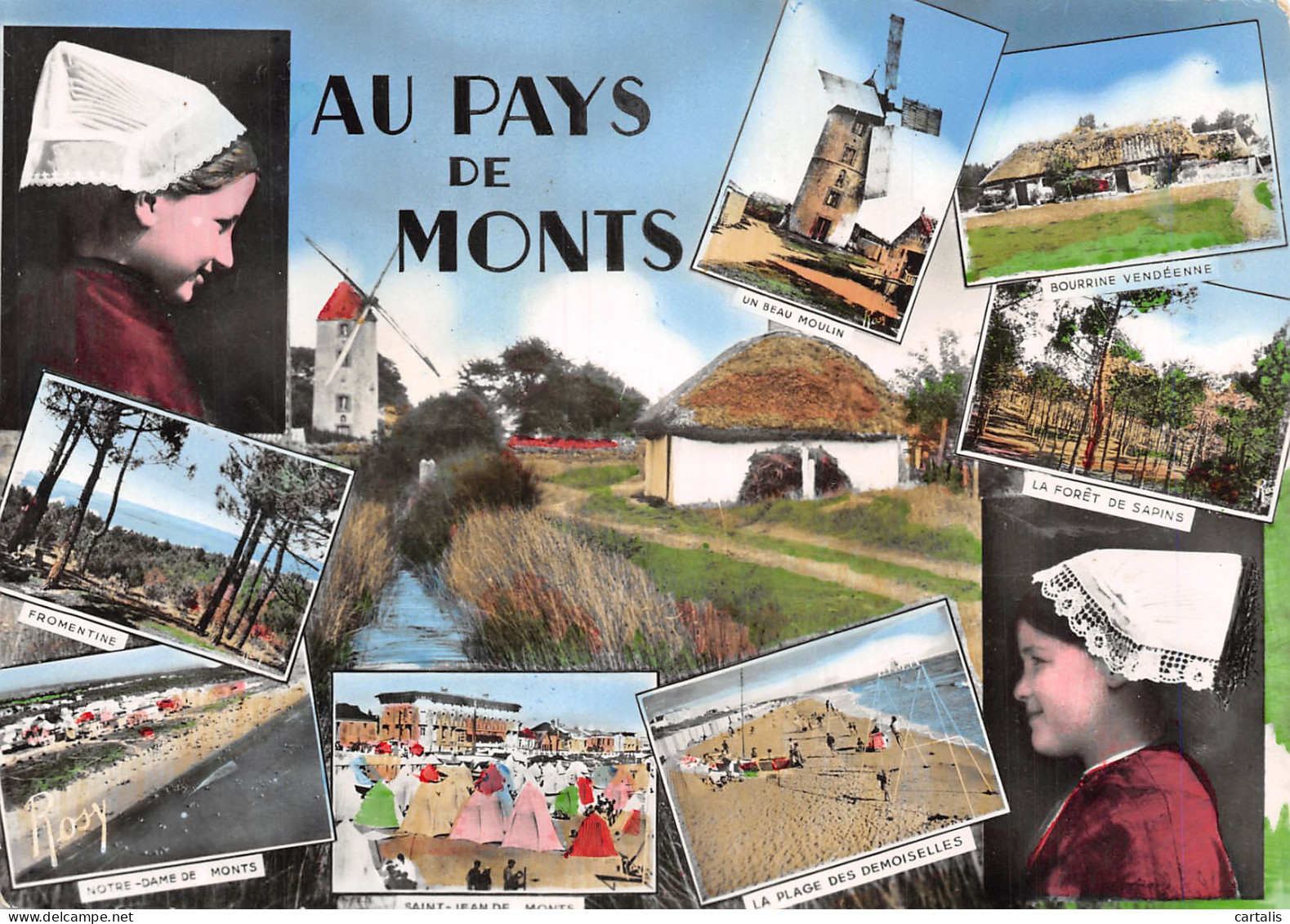 85-AU PAYS DE MONTS-N°4180-B/0043 - Autres & Non Classés