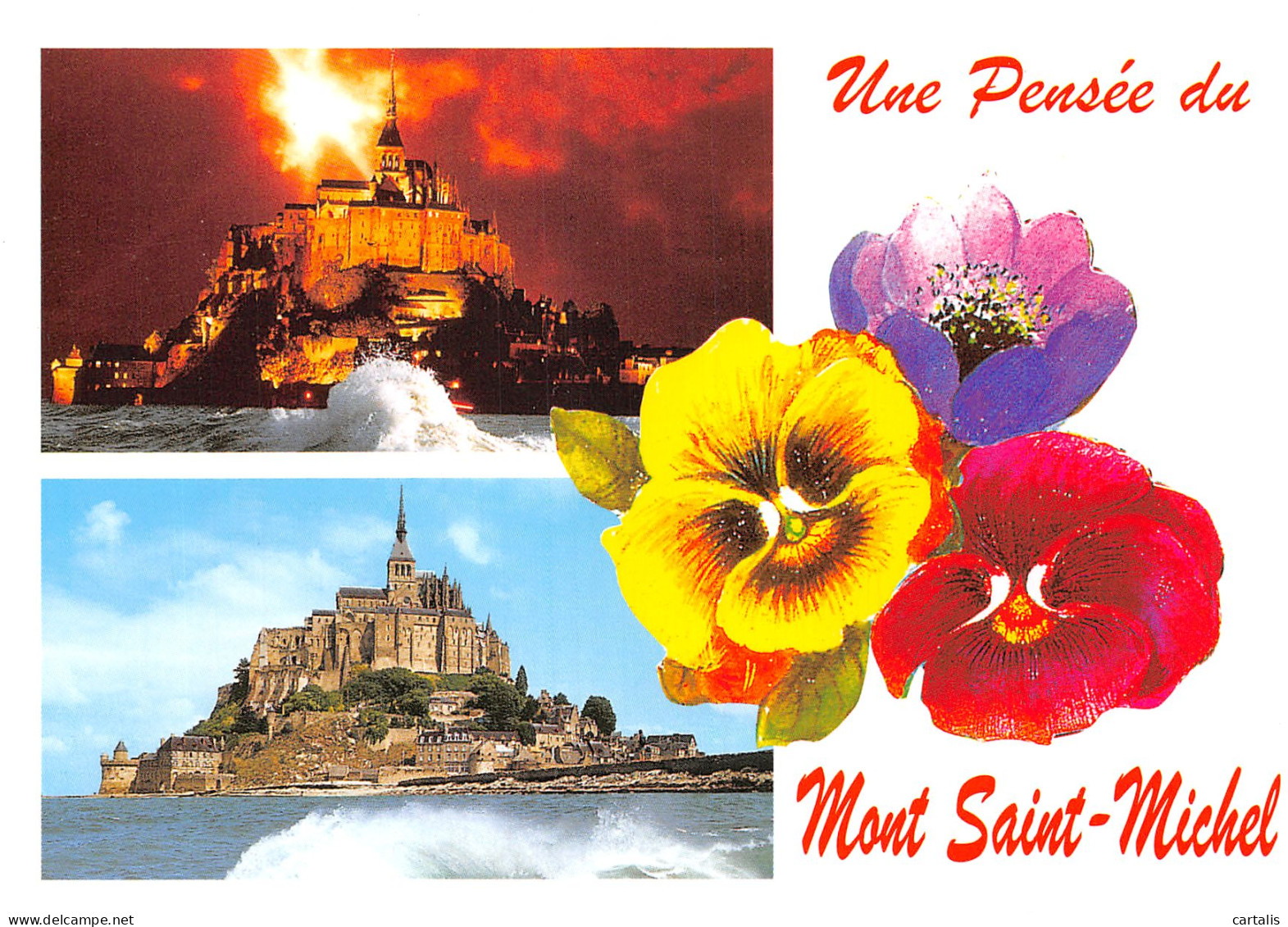 50-LE MONT SAINT MICHEL-N°4180-A/0385 - Le Mont Saint Michel