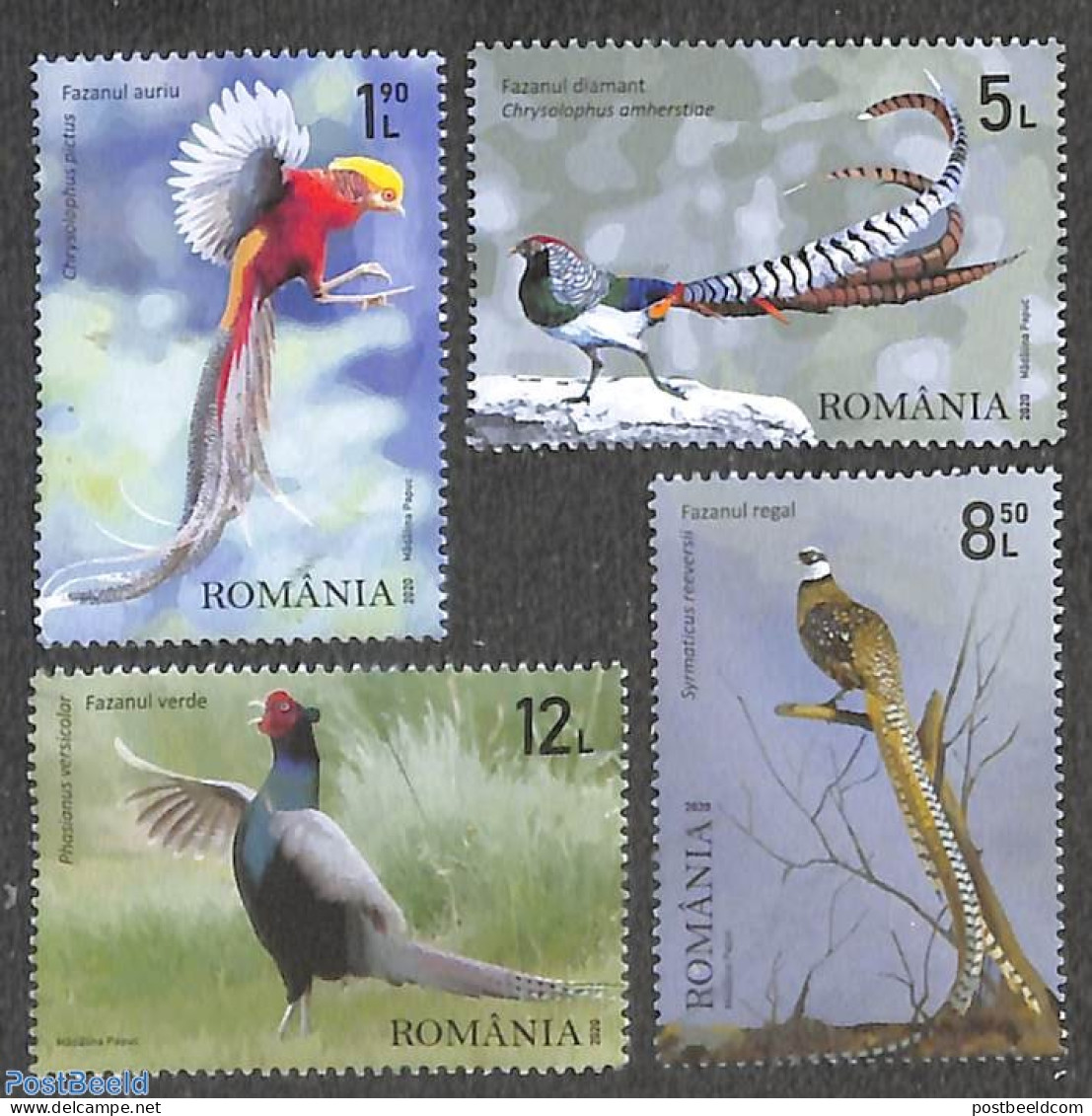 Romania 2020 Pheasants 4v, Mint NH, Nature - Birds - Poultry - Unused Stamps